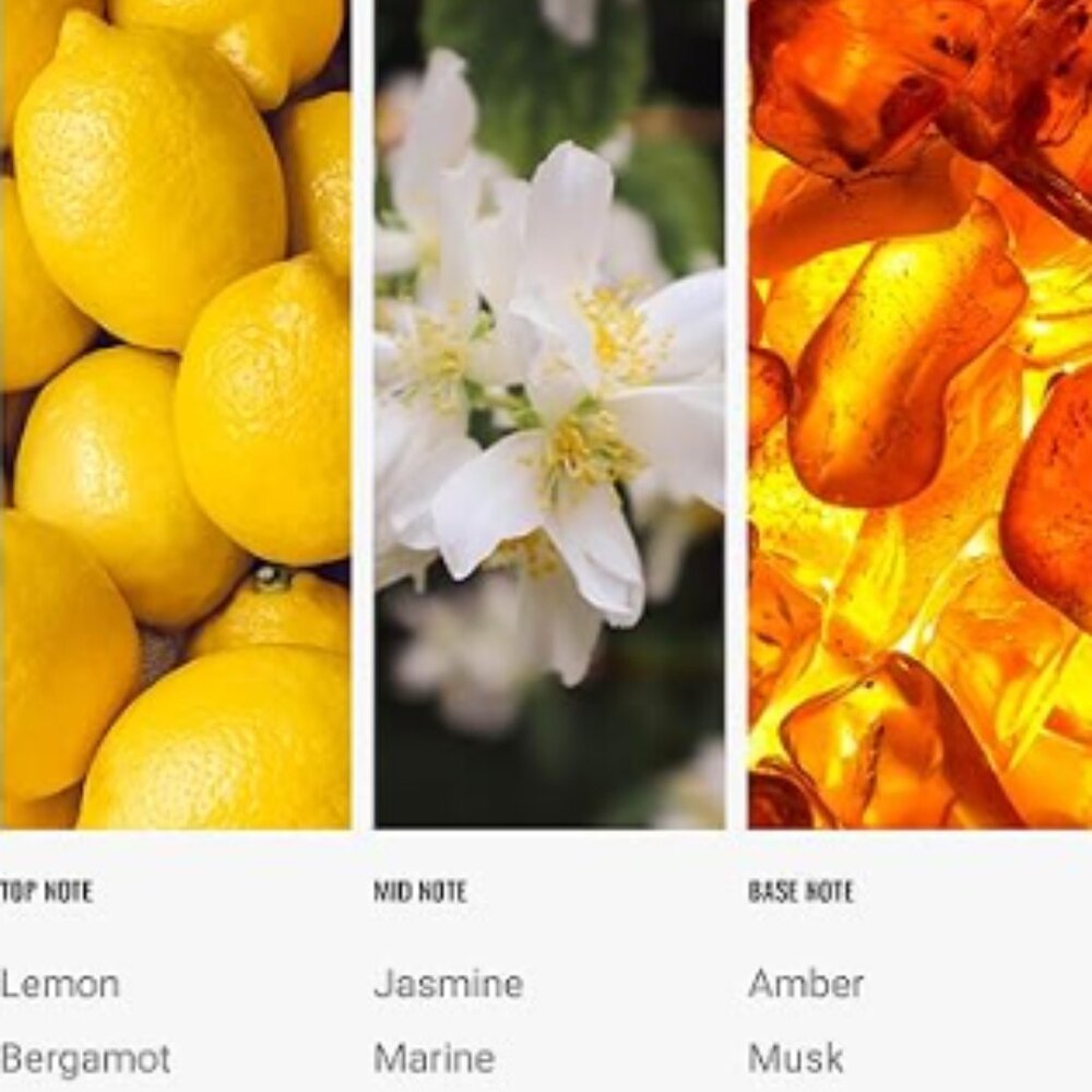 ✨NEW!✨Hotel Collection Diffuser Fragrance Oil - Pro Pod - CABANA - Picture 2 of 9